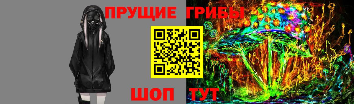 Галлюциногенные грибы GOLDEN TEACHER Владивосток