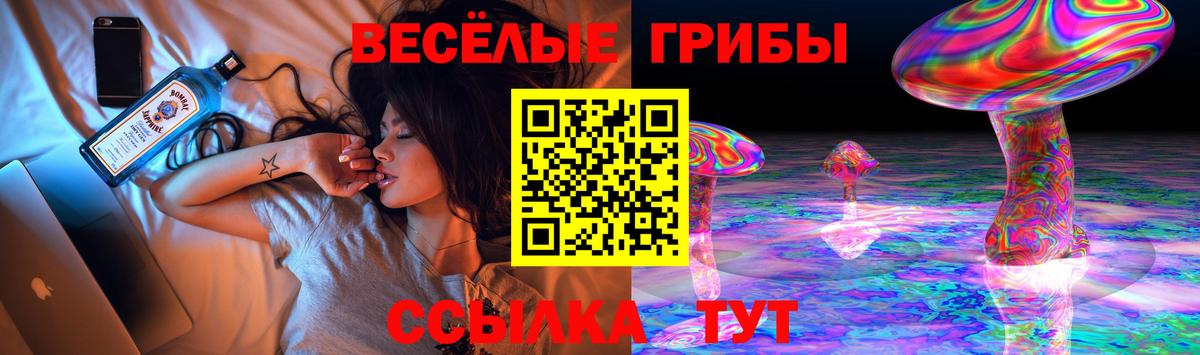 Псилоцибиновые грибы Cubensis  Вход с VPN  Галлюциногенные грибы Psilocybe  Владивосток 